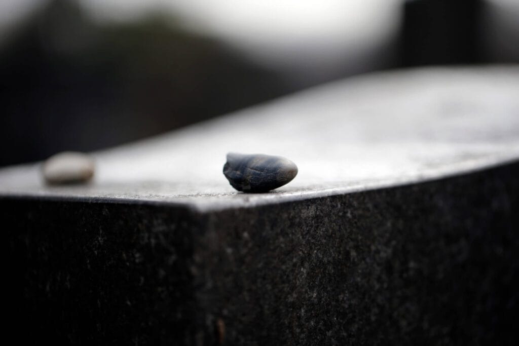 Image noir et blanc d'une stèle dans un cimetière Juif