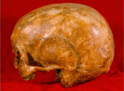 Image du crâne de Montcalm sur fond rouge