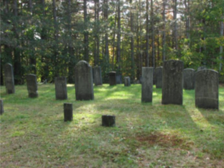 stèles dans un cimetière oublié du Québec en été