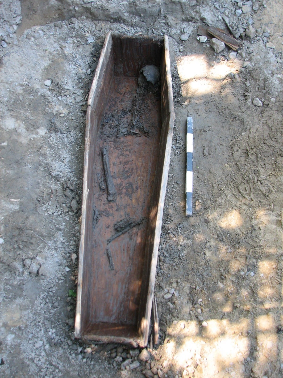 width=